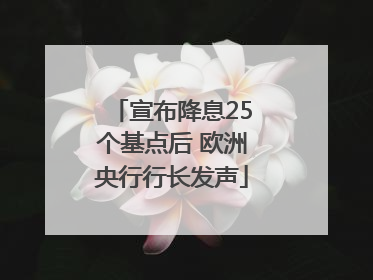 宣布降息25个基点后 欧洲央行行长发声