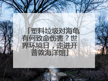 塑料垃圾对海龟有何致命伤害？世界环境日，走进开普敦海洋馆