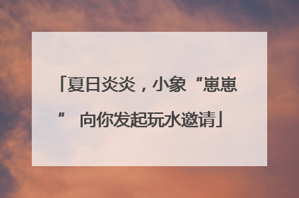 夏日炎炎，小象“崽崽” 向你发起玩水邀请