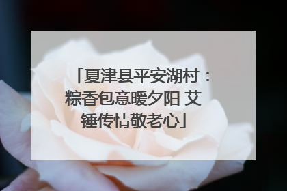 夏津县平安湖村：粽香包意暖夕阳 艾锤传情敬老心