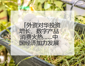 外资对华投资增长、数字产品消费火热……中国经济加力发展动力强劲