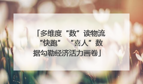多维度“数”读物流“快跑” “喜人”数据勾勒经济活力画卷