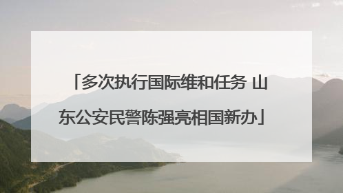 多次执行国际维和任务 山东公安民警陈强亮相国新办