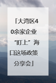 大湾区40余家企业“盯上”海口这场政策分享会