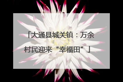 大通县城关镇：万余村民迎来“幸福田”