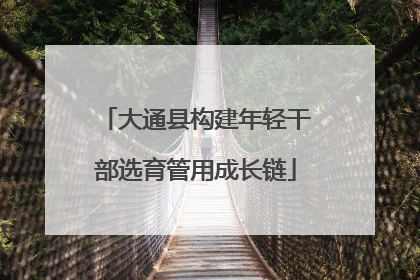 大通县构建年轻干部选育管用成长链