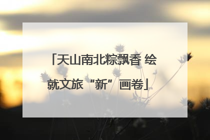 天山南北粽飘香 绘就文旅“新”画卷