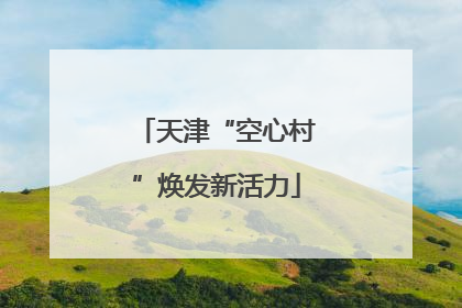 天津“空心村”焕发新活力