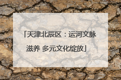 天津北辰区：运河文脉滋养 多元文化绽放