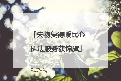 失物复得暖民心 执法服务获锦旗