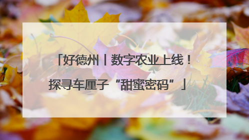 好德州丨数字农业上线！探寻车厘子“甜蜜密码”
