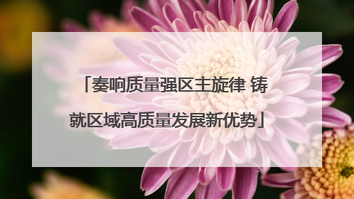 奏响质量强区主旋律 铸就区域高质量发展新优势