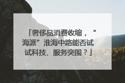 奢侈品消费收缩，“海派”淮海中路能否试试科技、服务突围？