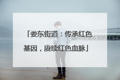 娄东街道：传承红色基因，赓续红色血脉