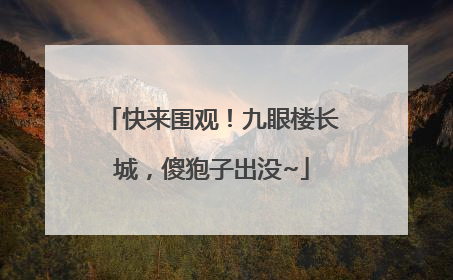 快来围观！九眼楼长城，傻狍子出没~