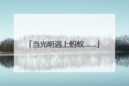 当光明遇上蚂蚁……