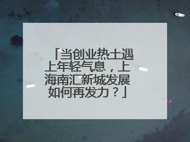 当创业热土遇上年轻气息，上海南汇新城发展如何再发力？