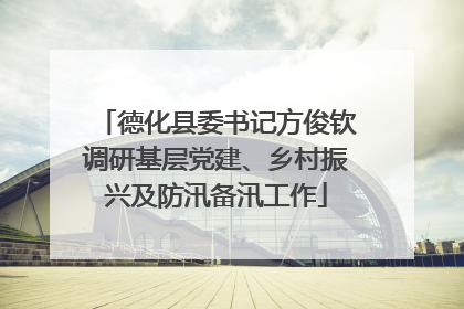 德化县委书记方俊钦调研基层党建、乡村振兴及防汛备汛工作