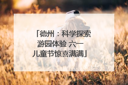 德州：科学探索 游园体验 六一儿童节惊喜满满