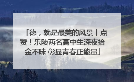 德，就是最美的风景丨点赞！乐陵两名高中生深夜拾金不昧 彰显青春正能量