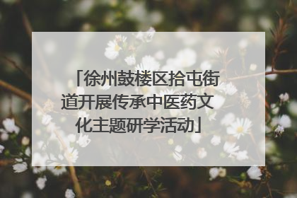 徐州鼓楼区拾屯街道开展传承中医药文化主题研学活动