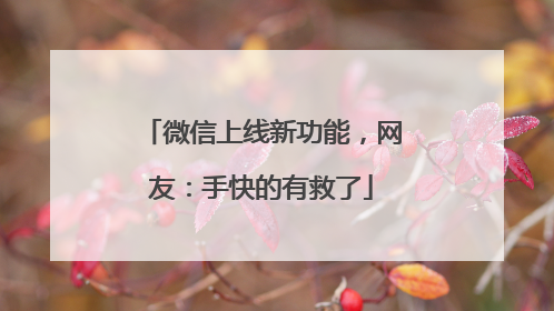 微信上线新功能，网友：手快的有救了