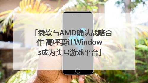 微软与AMD确认战略合作 高呼要让Windows成为头号游戏平台