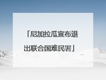 尼加拉瓜宣布退出联合国难民署