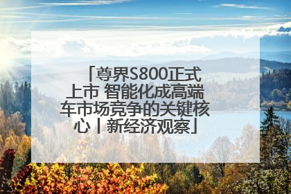 尊界S800正式上市 智能化成高端车市场竞争的关键核心丨新经济观察