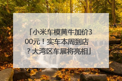 小米车模黄牛加价300元！实车本周到店？大湾区车展将亮相