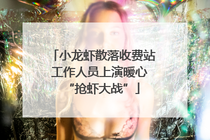 小龙虾散落收费站 工作人员上演暖心“抢虾大战”