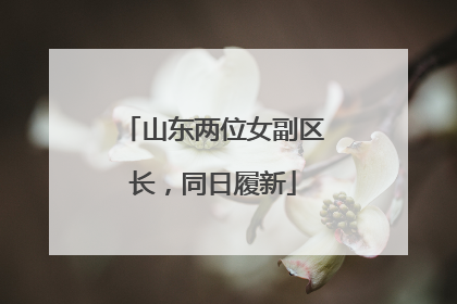 山东两位女副区长，同日履新