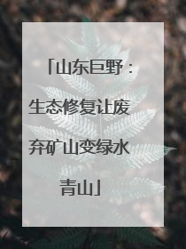 山东巨野：生态修复让废弃矿山变绿水青山