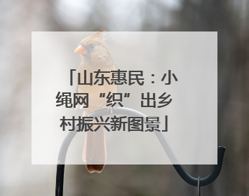 山东惠民：小绳网“织”出乡村振兴新图景
