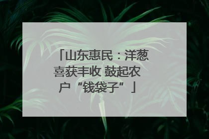 山东惠民：洋葱喜获丰收 鼓起农户“钱袋子”