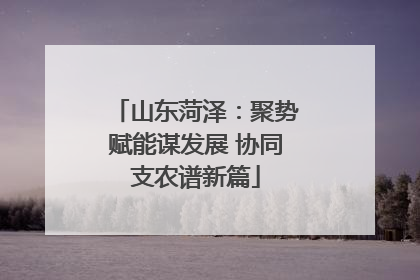 山东菏泽：聚势赋能谋发展 协同支农谱新篇