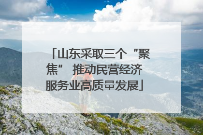 山东采取三个“聚焦” 推动民营经济服务业高质量发展