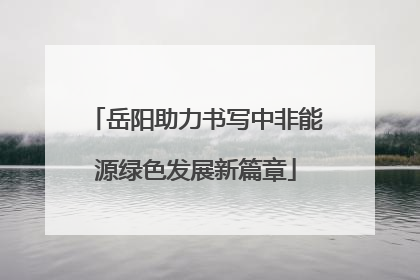 岳阳助力书写中非能源绿色发展新篇章