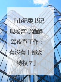 市纪委书记现场督导酒醉驾夜查工作：有没有干部耍特权？