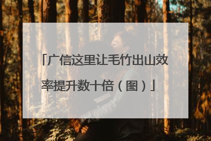 广信这里让毛竹出山效率提升数十倍（图）