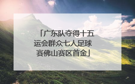 广东队夺得十五运会群众七人足球赛佛山赛区首金