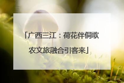 广西三江：荷花伴侗歌 农文旅融合引客来