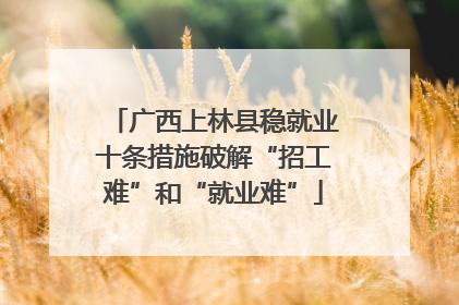 广西上林县稳就业十条措施破解“招工难”和“就业难”
