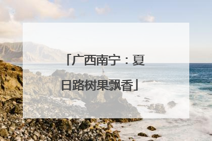 广西南宁：夏日路树果飘香
