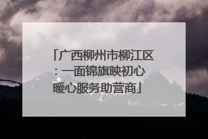 广西柳州市柳江区：一面锦旗映初心 暖心服务助营商
