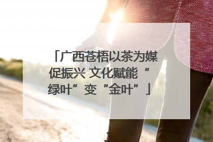 广西苍梧以茶为媒促振兴 文化赋能“绿叶”变“金叶”