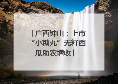 广西钟山：上市“小糖丸”无籽西瓜助农增收