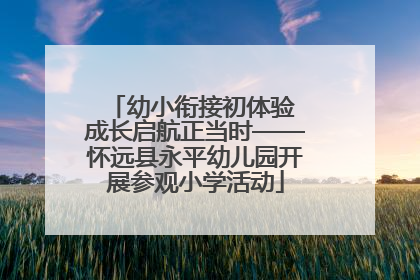 幼小衔接初体验 成长启航正当时——怀远县永平幼儿园开展参观小学活动