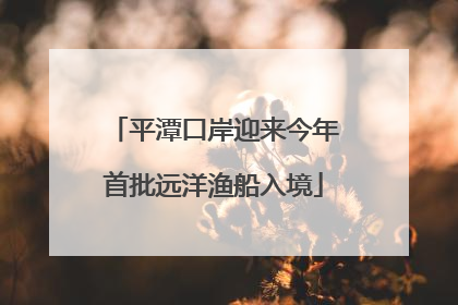 平潭口岸迎来今年首批远洋渔船入境