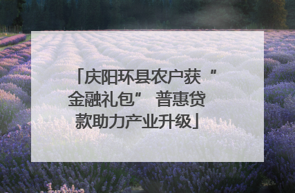 庆阳环县农户获“金融礼包” 普惠贷款助力产业升级